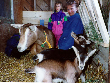 The Goats