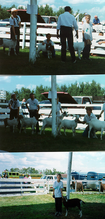 Rich Valley Goat Show 1998