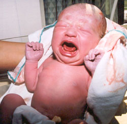 Cade crying